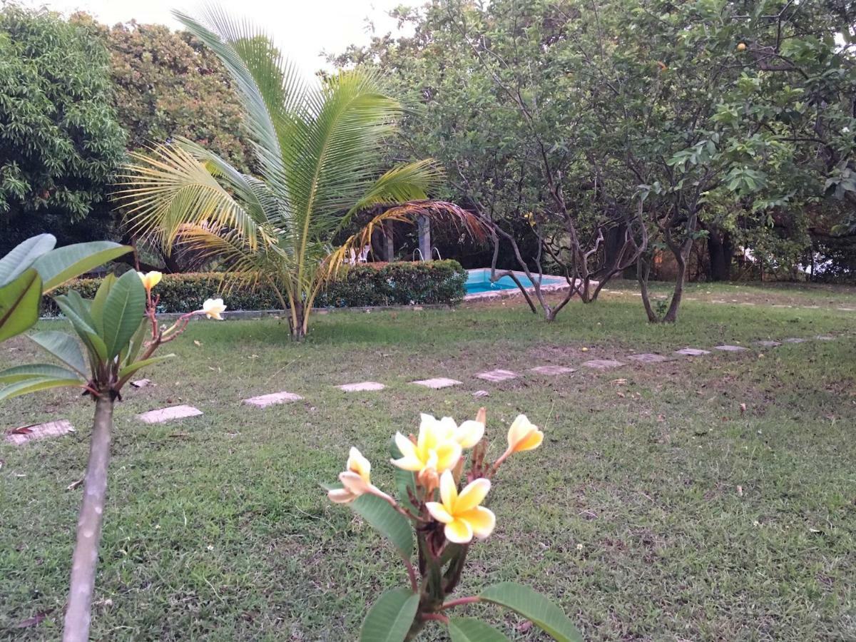 Bagac Native House With Beautiful Pool 빌라 외부 사진